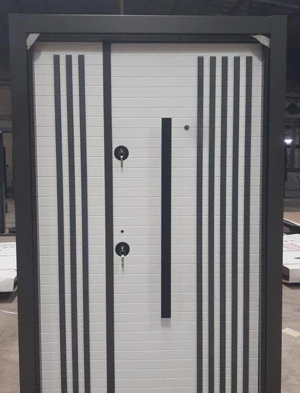 Security Door Photo